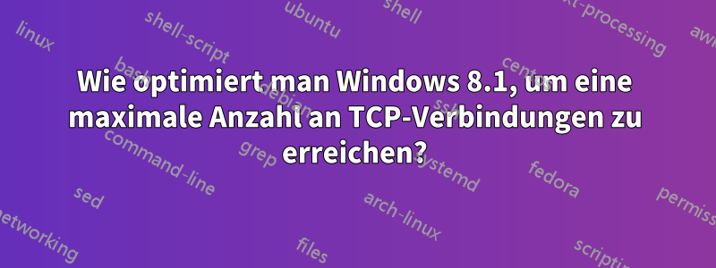 Wie optimiert man Windows 8.1, um eine maximale Anzahl an TCP-Verbindungen zu erreichen?