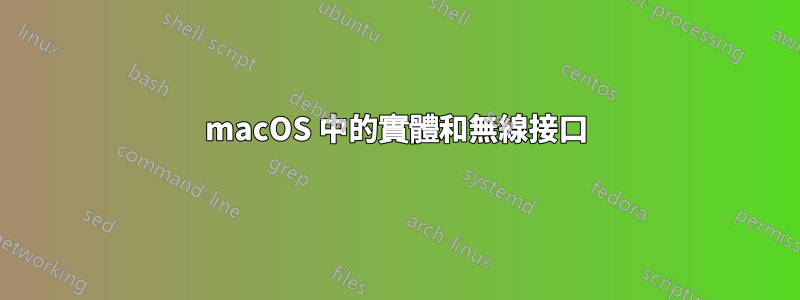 macOS 中的實體和無線接口