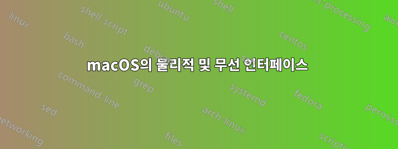 macOS의 물리적 및 무선 인터페이스