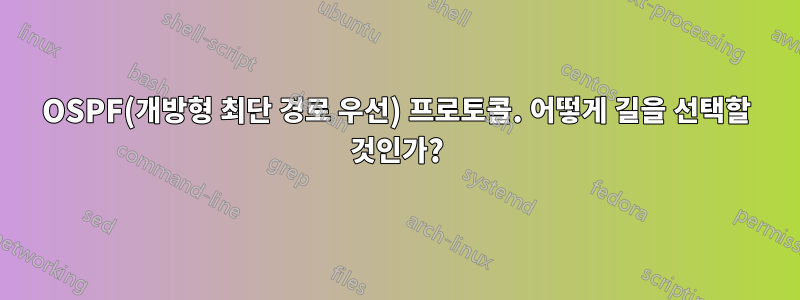 OSPF(개방형 최단 경로 우선) 프로토콜. 어떻게 길을 선택할 것인가?