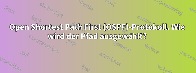 Open Shortest Path First (OSPF)-Protokoll. Wie wird der Pfad ausgewählt?