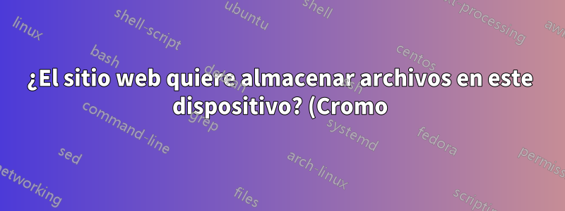 ¿El sitio web quiere almacenar archivos en este dispositivo? (Cromo)