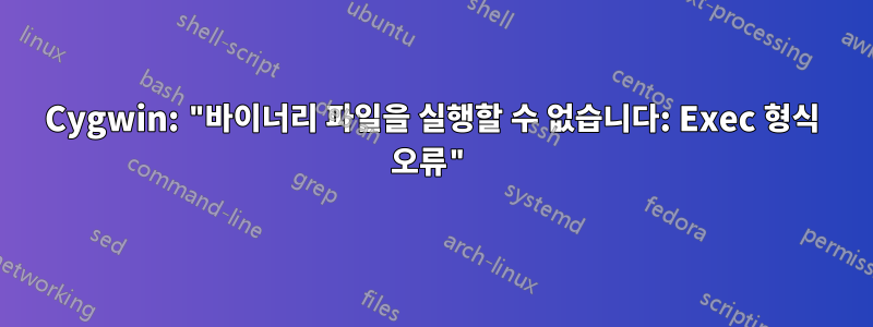 Cygwin: "바이너리 파일을 실행할 수 없습니다: Exec 형식 오류"