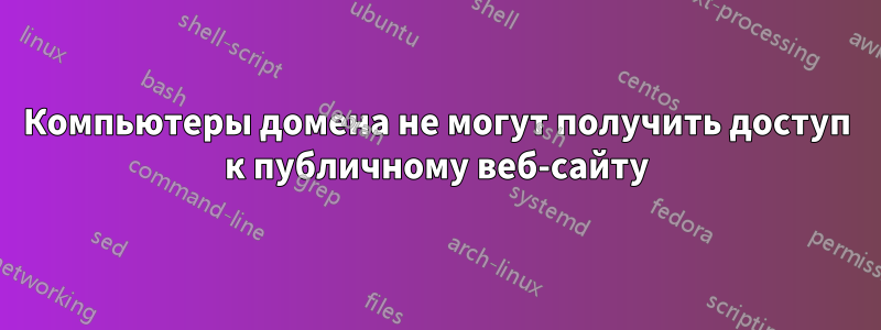 Компьютеры домена не могут получить доступ к публичному веб-сайту