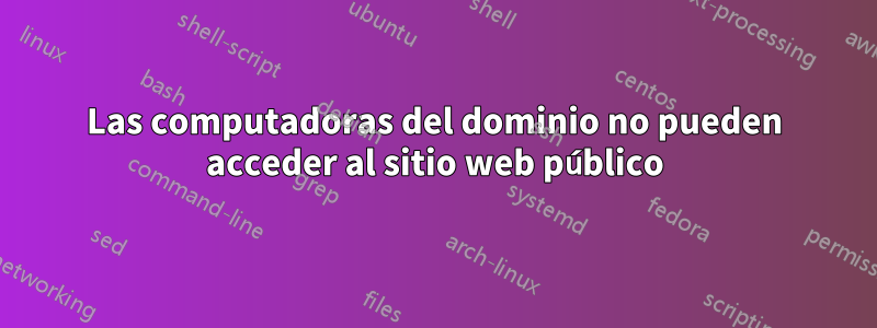 Las computadoras del dominio no pueden acceder al sitio web público