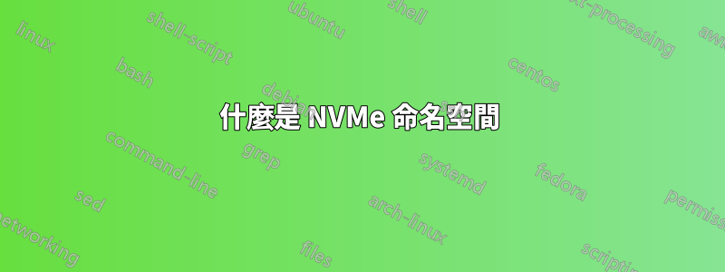 什麼是 NVMe 命名空間