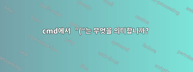 cmd에서 "("는 무엇을 의미합니까?