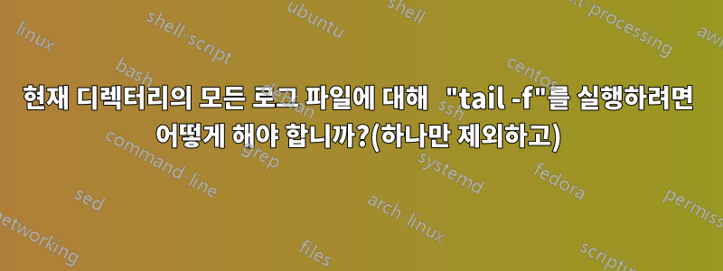 현재 디렉터리의 모든 로그 파일에 대해 "tail -f"를 실행하려면 어떻게 해야 합니까?(하나만 제외하고)