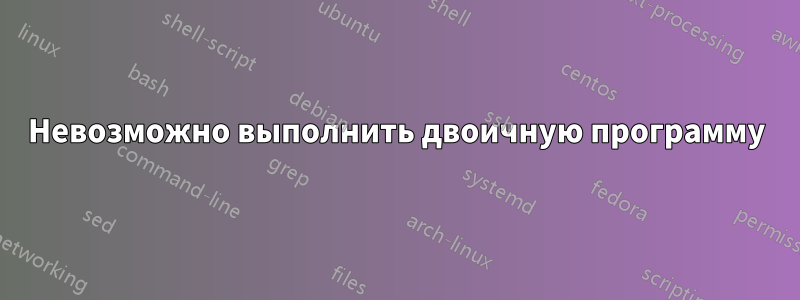 Невозможно выполнить двоичную программу