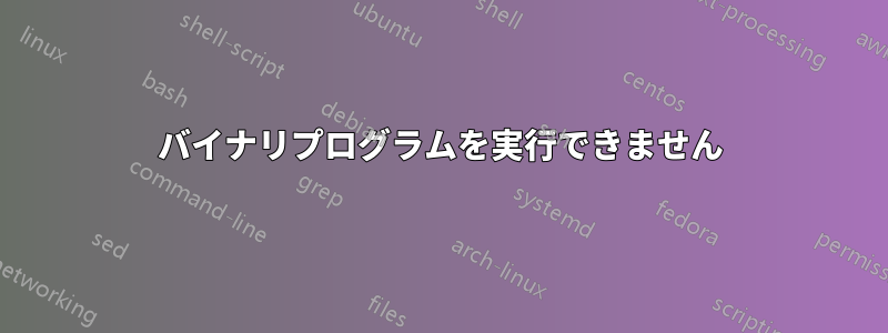 バイナリプログラムを実行できません