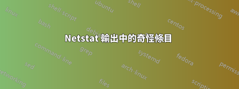 Netstat 輸出中的奇怪條目