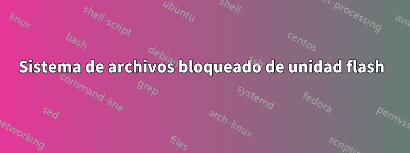 Sistema de archivos bloqueado de unidad flash 