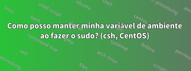 Como posso manter minha variável de ambiente ao fazer o sudo? (csh, CentOS)