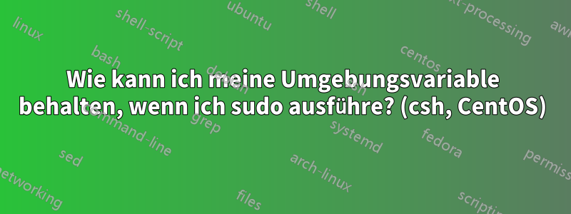 Wie kann ich meine Umgebungsvariable behalten, wenn ich sudo ausführe? (csh, CentOS)
