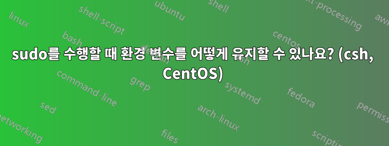 sudo를 수행할 때 환경 변수를 어떻게 유지할 수 있나요? (csh, CentOS)