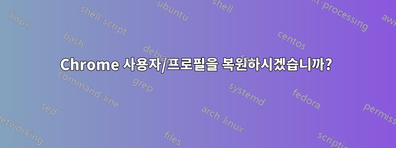 Chrome 사용자/프로필을 복원하시겠습니까?