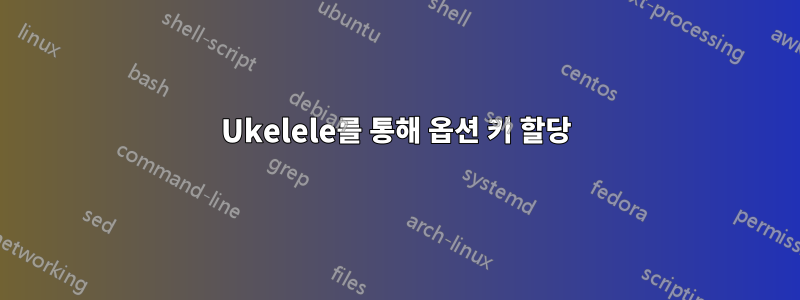 Ukelele를 통해 옵션 키 할당