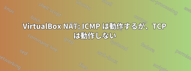 VirtualBox NAT: ICMP は動作するが、TCP は動作しない