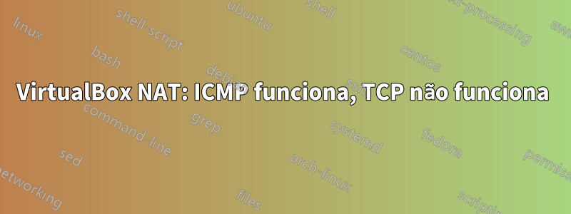 VirtualBox NAT: ICMP funciona, TCP não funciona