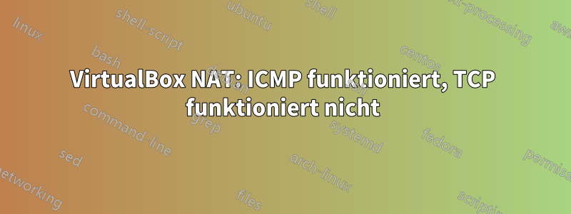 VirtualBox NAT: ICMP funktioniert, TCP funktioniert nicht