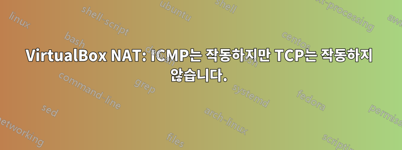 VirtualBox NAT: ICMP는 작동하지만 TCP는 작동하지 않습니다.