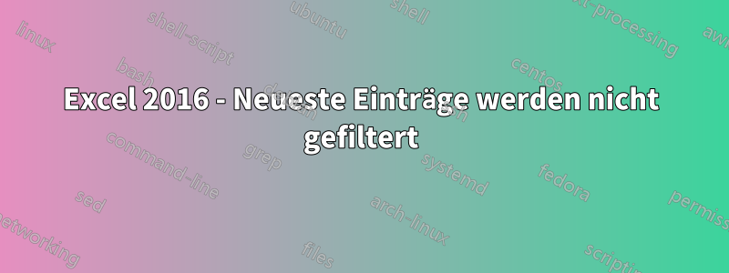 Excel 2016 - Neueste Einträge werden nicht gefiltert