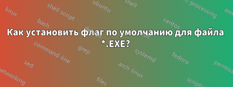 Как установить флаг по умолчанию для файла *.EXE?