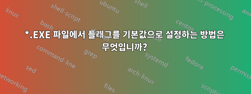 *.EXE 파일에서 플래그를 기본값으로 설정하는 방법은 무엇입니까?