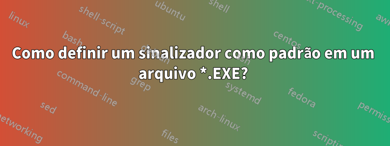 Como definir um sinalizador como padrão em um arquivo *.EXE?