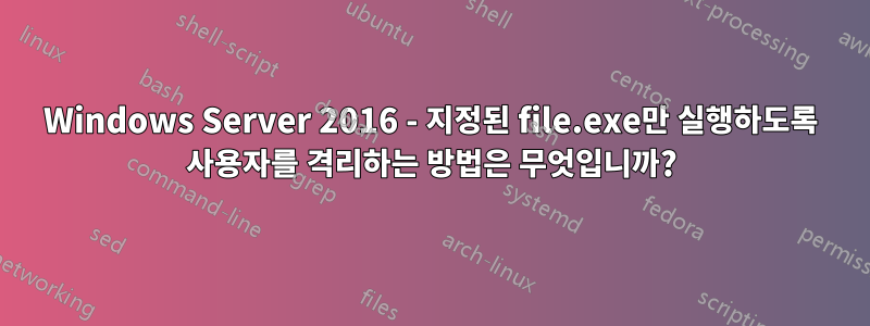 Windows Server 2016 - 지정된 file.exe만 실행하도록 사용자를 격리하는 방법은 무엇입니까?