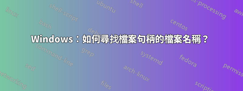 Windows：如何尋找檔案句柄的檔案名稱？