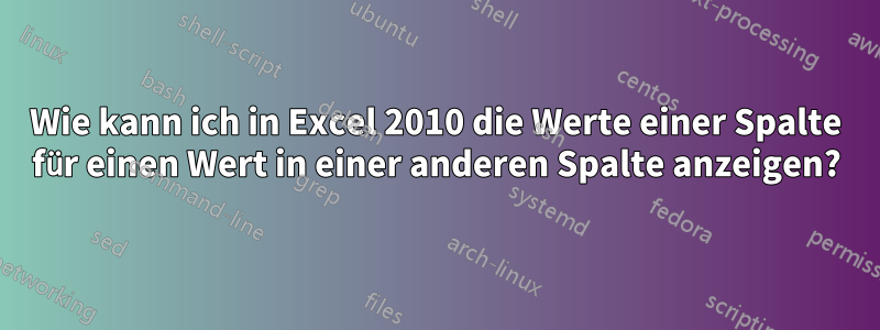 Wie kann ich in Excel 2010 die Werte einer Spalte für einen Wert in einer anderen Spalte anzeigen?