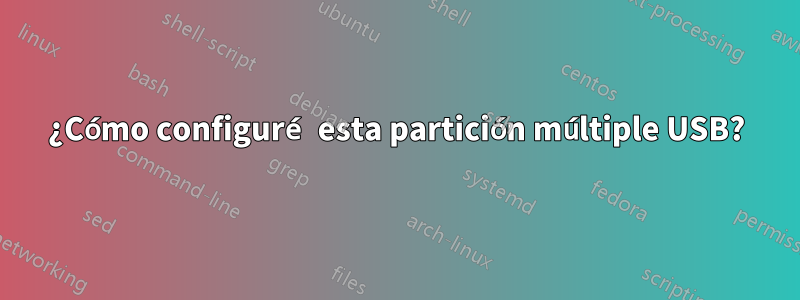 ¿Cómo configuré esta partición múltiple USB?