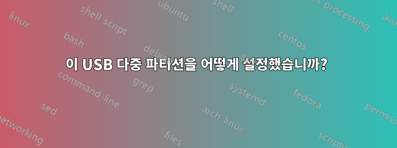 이 USB 다중 파티션을 어떻게 설정했습니까?