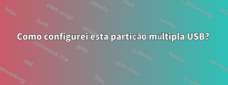 Como configurei esta partição múltipla USB?
