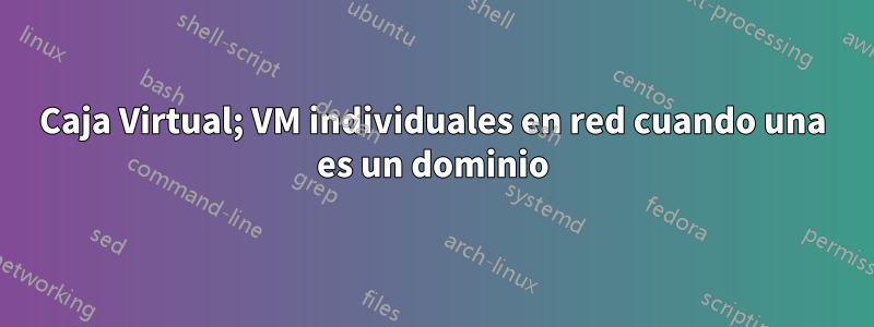 Caja Virtual; VM individuales en red cuando una es un dominio