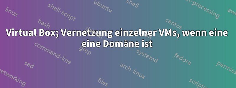 Virtual Box; Vernetzung einzelner VMs, wenn eine eine Domäne ist