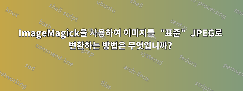 ImageMagick을 사용하여 이미지를 "표준" JPEG로 변환하는 방법은 무엇입니까?