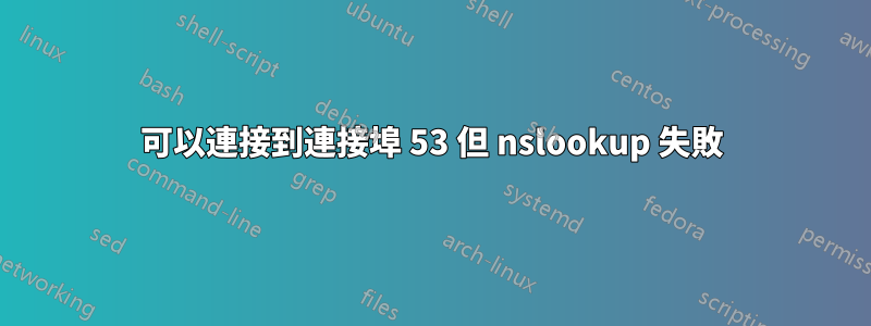 可以連接到連接埠 53 但 nslookup 失敗