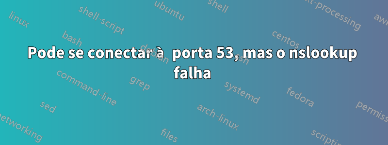 Pode se conectar à porta 53, mas o nslookup falha