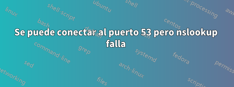 Se puede conectar al puerto 53 pero nslookup falla