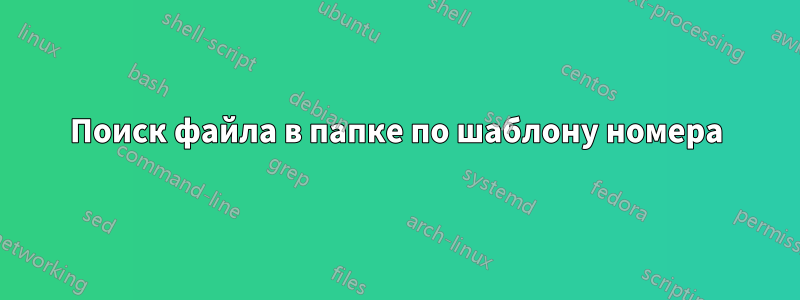 Поиск файла в папке по шаблону номера
