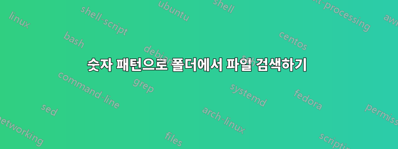 숫자 패턴으로 폴더에서 파일 검색하기