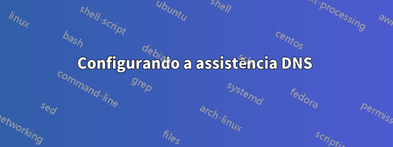 Configurando a assistência DNS