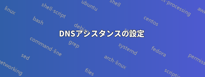 DNSアシスタンスの設定