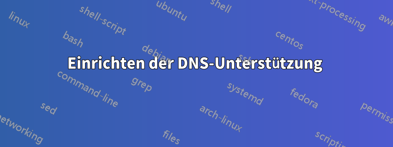 Einrichten der DNS-Unterstützung