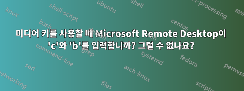미디어 키를 사용할 때 Microsoft Remote Desktop이 'c'와 'b'를 입력합니까? 그럴 수 없나요?
