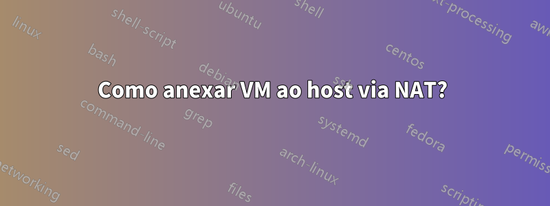 Como anexar VM ao host via NAT?