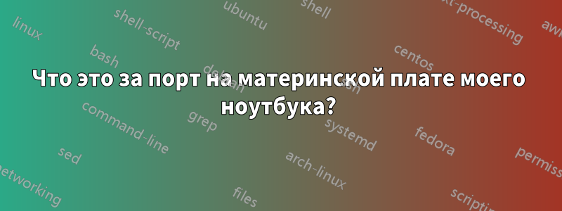 Что это за порт на материнской плате моего ноутбука?