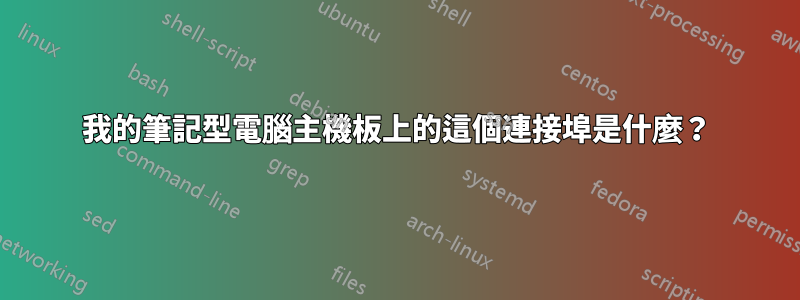 我的筆記型電腦主機板上的這個連接埠是什麼？